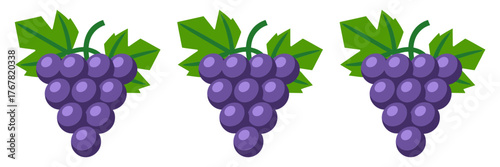 Purple grape clusters, leafy stems, plump berries shine, vineyard harvest icons, wine ingredient graphics, fresh produce vector