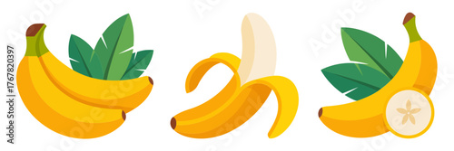 Banana set with leaf, whole fruit, peeled piece, round slice, tropical produce graphics, healthy snack vector