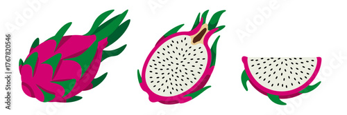 Dragon fruit illustration, whole and half pitaya, pink peel with green scales, white seeded flesh, tropical produce vector