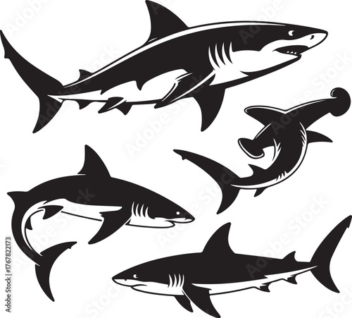 Four black vector sharks in dynamic poses on white background illustration black and white