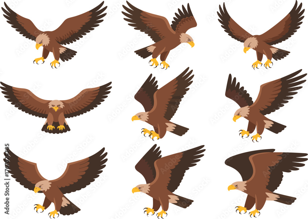 Fototapeta premium Flying eagle illustration set, powerful bird of prey vector, majestic raptor with open wings and sharp talons