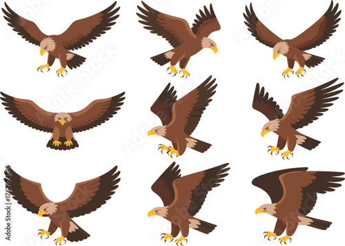Flying eagle illustration set, powerful bird of prey vector, majestic raptor with open wings and sharp talons