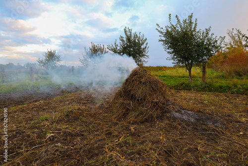 Smoke from burning dry grass and weeds rises over a field or backyard plot in autumn. This is a traditional method of clearing the land after harvesting, although it can be dangerous and environmental