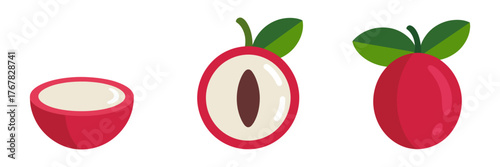 Lychee fruits collection, whole red berries with green leaves, opened white flesh halves, tropical dessert ingredient, vector illustration