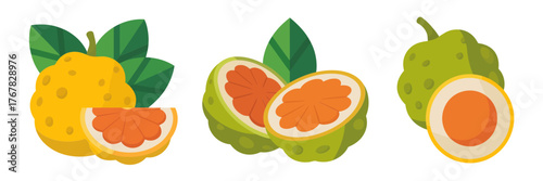 Green passion fruit collection, whole fruit, split halves, bright orange seed pulp, exotic granadilla style, tropical beverage vector