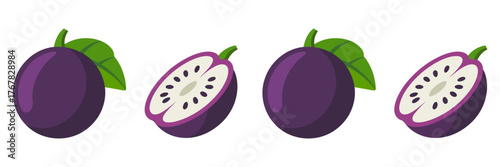 Purple star apple set, whole fruit with leaf, sliced halves showing star pattern, tropical orchard illustration, exotic vector
