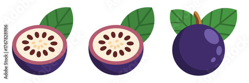 Blueberry collection, whole berry with leaf, sliced halves, pale star center, forest fruit illustration, healthy breakfast vector