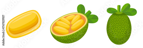 Tropical fruit icons, noni whole green bumpy fruit, jackfruit pod slice, fresh exotic produce, vector illustration