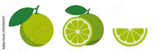 Green citrus fruit with leaf, sliced half and wedge, refreshing kitchen ingredient, drink garnish illustration vector
