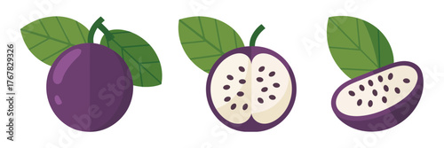 Whole purple fruit and halved pieces, soft white pulp with tiny seeds, tropical delicacy illustration, vector collection
