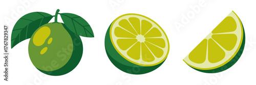 Green citrus fruit with leaves, lime whole and wedges, juicy slice illustration, fresh ingredient icons, vector set