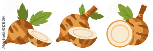 Brown taro roots, earthy corms with rings, whole and cut views, tropical staple food, rustic kitchen vector