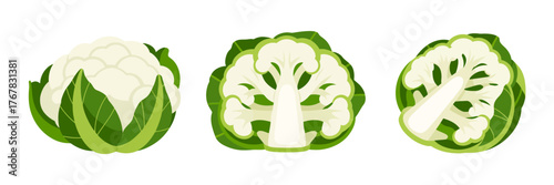 Cauliflower head with leaves, cut cross section slice, brassica vegetable icons, farm fresh cooking ingredient, healthy diet vector