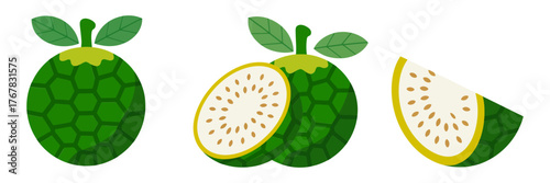 Breadfruit tropical set, whole green fruit with leaf, cut cross section slice, exotic island produce vector