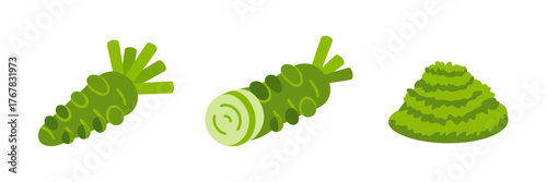 Fresh wasabi pieces, knobby green root with slices, spicy paste swirl, condiment illustration, japanese flavor garnish vector