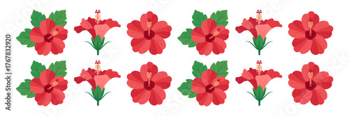 Hibiscus stripe pattern, bold red flowers, leafy repeats, tropical decoration row, border ornament graphic, print ready vector
