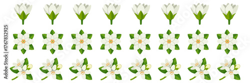 Jasmine bud garland, delicate white buds, leafy sprigs, repeating line motif, seamless decoration border, elegant floral vector illustration