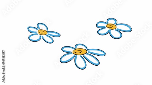Hand drawn animated doodle daisies. Video clip with alpha channel.