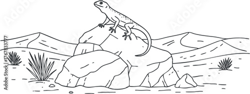 A lizard basking on a rock in a desert landscape with sparse vegetation.