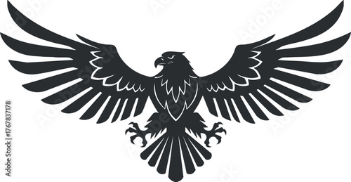 Stylized silhouette of a hawk with outstretched wings symbolizing freedom and power