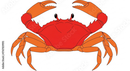 Cartoon crab with large claws and orange legs isolated on a white background