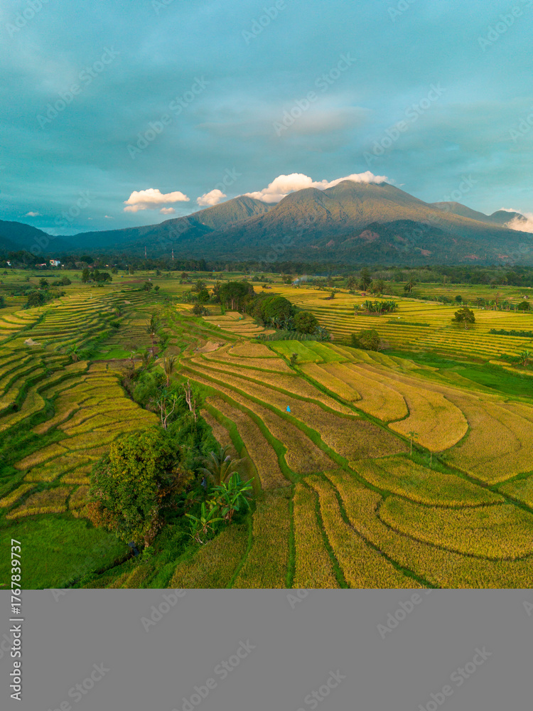 Obraz premium Beautiful morning view indonesia Panorama Landscape paddy fields with beauty color and sky natural light