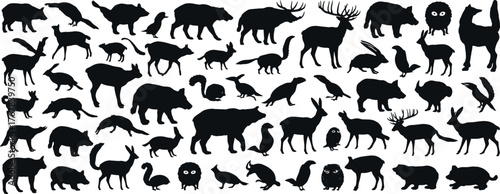 Silhouettes of various animals isolated on white background in black color