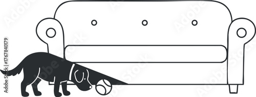 A playful black dog with a ball next to a modern couch in a cozy living room.