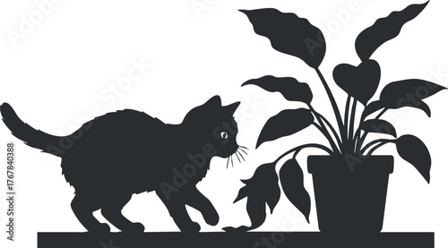 A playful silhouette of a cat exploring a potted plant in a home setting.