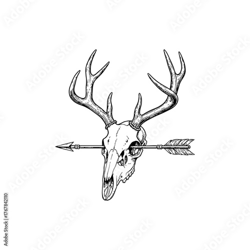 Deer Skull with Antlers and Arrow Illustration in Vintage Engraving Style.