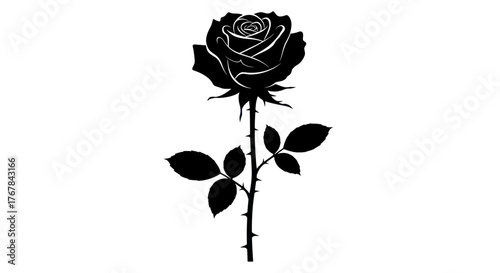 Silhouette of a single black rose with thorns and leaves.