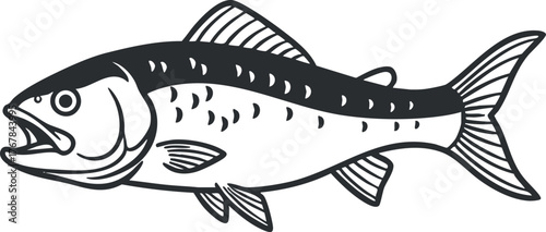 Illustration of a fish depicting its features in a stylized black and white design