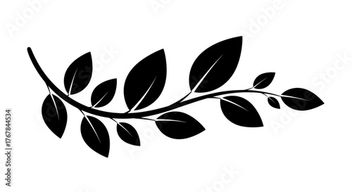 Elegant black silhouette of a curved botanical branch with leaves a simple vector graphic.