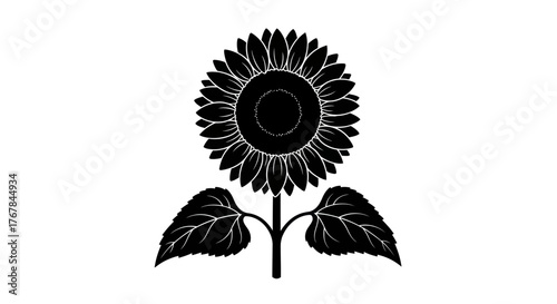 Silhouette of a Detailed Sunflower with Leaves and Stem.
