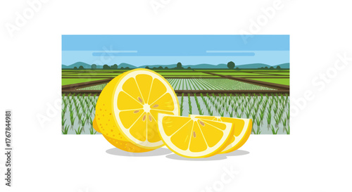 Vibrant Cut Lemon and Slices with a Green Farm Field Landscape.