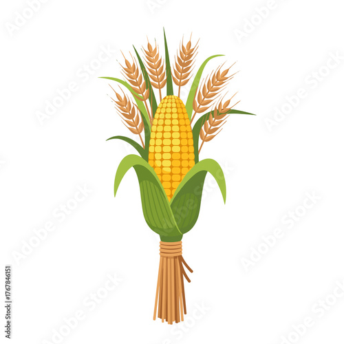 Autumn harvest elements for decoration 