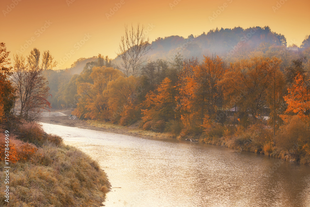 Fototapeta premium Autumn River with Exposed Bed and Colorful Trees in Poland