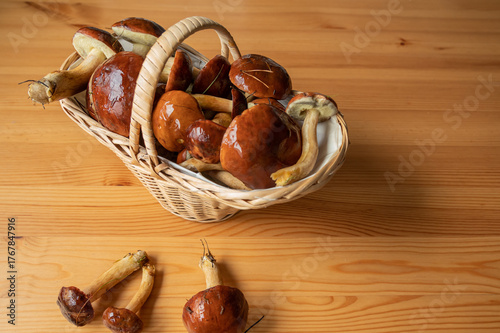 Wicker basket with Polish mushrooms Imleria badia on a wooden table. Copy space