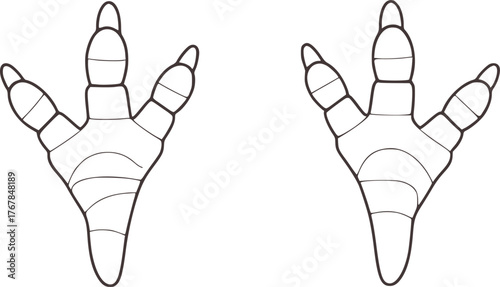 Bird footprints outline track drawing