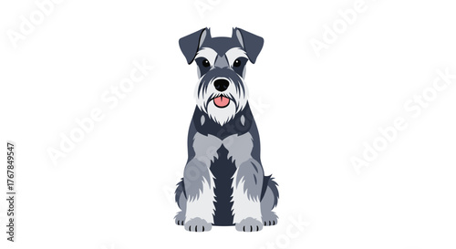 A charming cartoon illustration of a salt-and-pepper Miniature Schnauzer dog sitting patiently and looking forward with its tongue out.