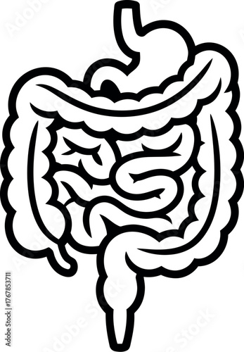 Diagram of the human digestive system illustrating the stomach and intestines