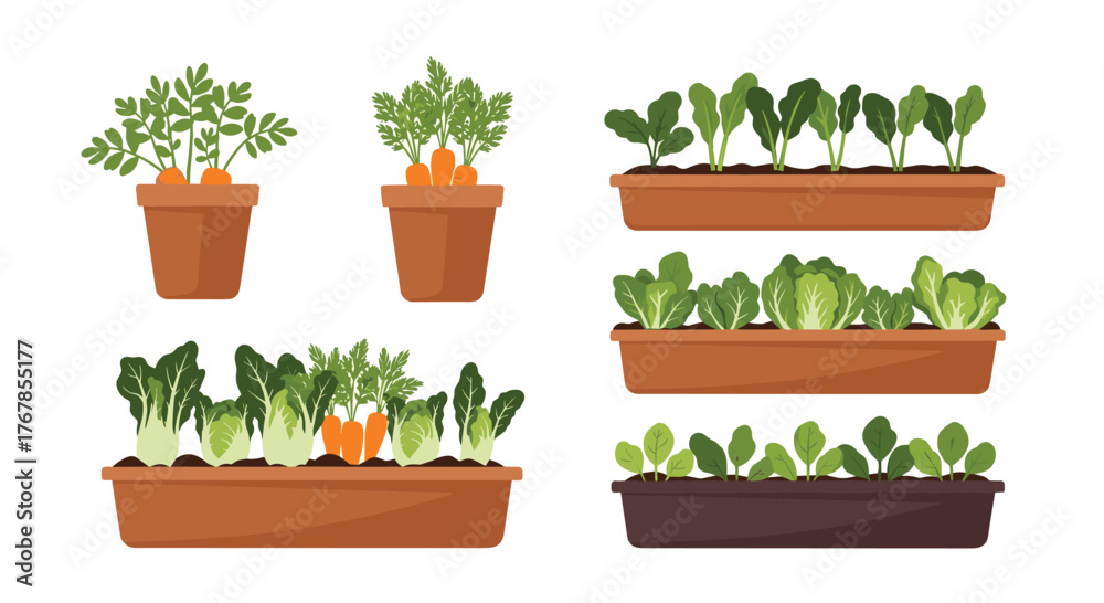 Fototapeta premium Assortment of various vegetable plants growing in pots and planters, including carrots, lettuce, spinach, and leafy greens in a garden.