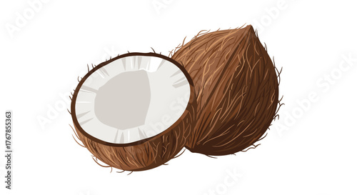 Two fresh tropical coconuts, one whole and the other neatly halved to reveal its white meat, isolated on a clean white background.