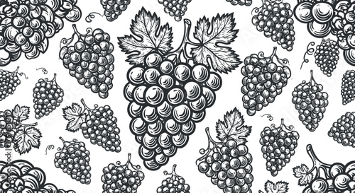 A decorative black and white illustration featuring an array of grapes and vine patterns.