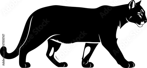 Mountain lion silhouette. This image shows a black silhouette of a mountain lion, also known as a cougar or puma, in a walking stance. Vector clipart illustration design.