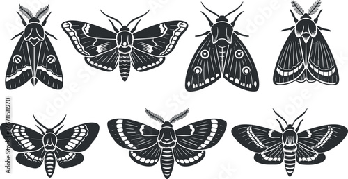 A collection of black and white moth illustrations showcasing various species and designs.