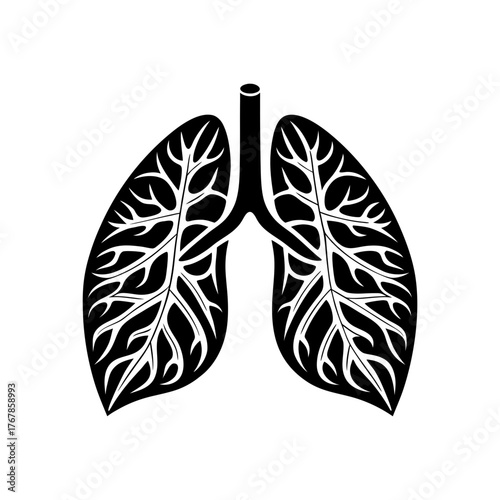 Stylized lungs simple drawing on transparent background
