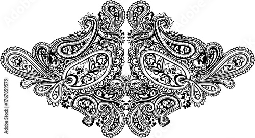 Elegant vintage paisley flourish design, intricate scrollwork, decorative ornamental motif, perfect for textile, fashion, and branding.