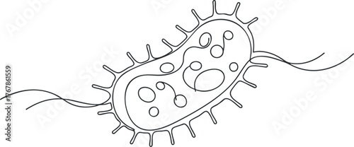Illustration of a bacterium showcasing its structure and internal components in a simplistic style.