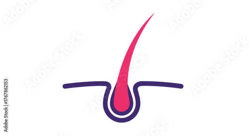 Simple illustration of a human hair follicle with root and bulb